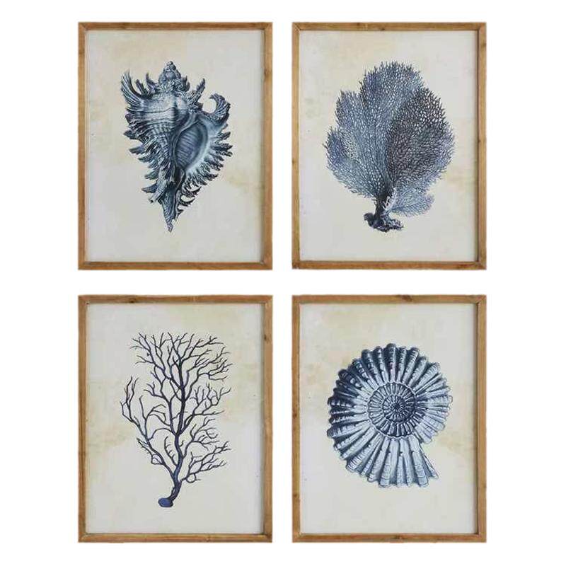 蓝珊瑚植物线描风格装饰画组