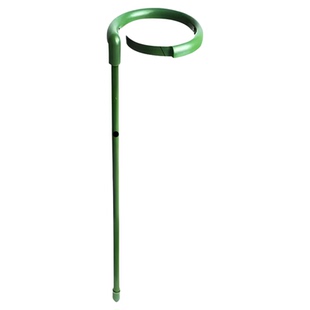 防倒植物支撑杆月季花爬藤架子盆栽凤尾竹发财树龟背竹园艺固定器