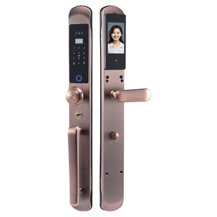 别墅大门指纹锁双开门电子密码锁欧式铜门户外防水人脸识别智能锁