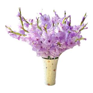 剑兰鲜花云南基地直发家庭客厅婚礼混搭鲜切水养水培插花束节节高