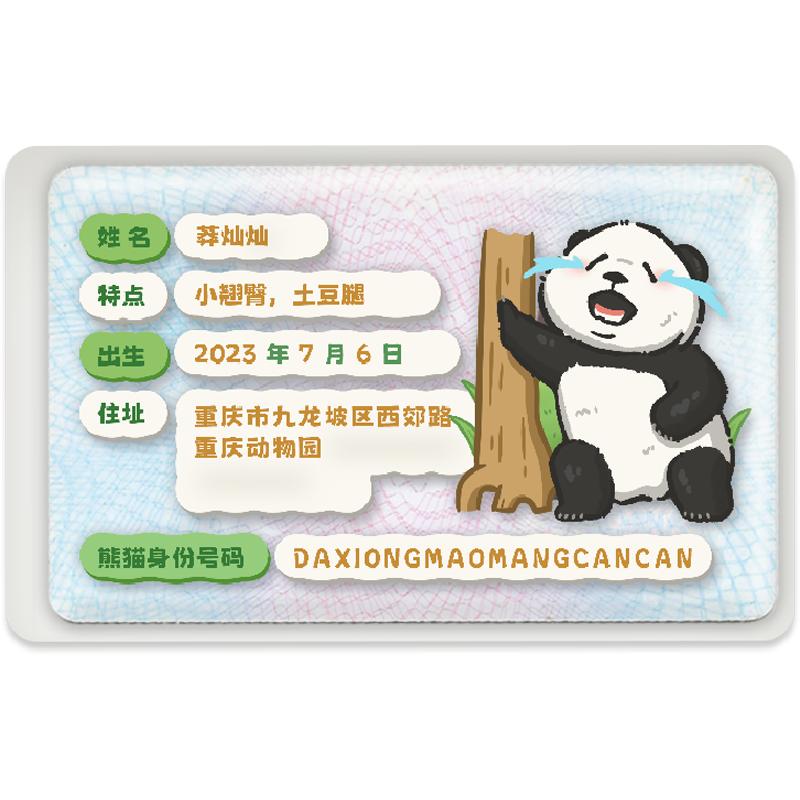 可爱熊猫身份证卡套 系列二 挡卡套/证件套