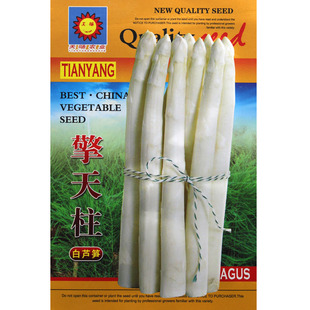 甜嫩白芦笋种子 高产抗病抗倒伏 春夏播种 龙须菜石刁柏蔬菜籽
