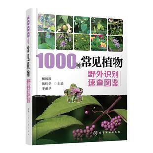 1000种常见植物野外识别速查图鉴  图解中草药大全 家庭书籍野外识别原植物鉴别图册中国常用手册 图识别与应用图典图谱