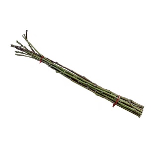 鲜桃树枝婴儿桃花枝东南桃木宝宝出院桃枝条搬家转运干枝桃树摆件