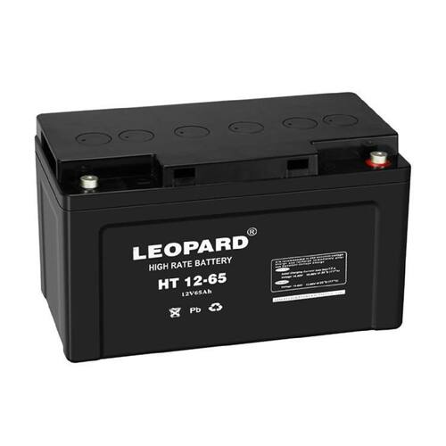LEOPARD蓄电池HTS1210012V100AH机房UPS电源配套EPS直流屏