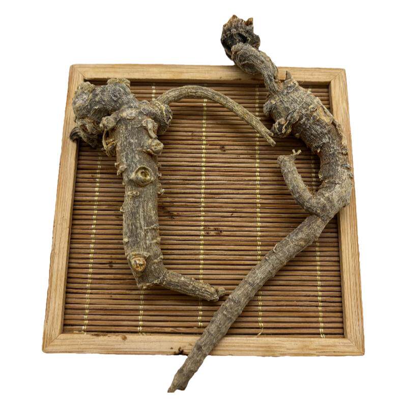 云南文山深山采挖野生三七