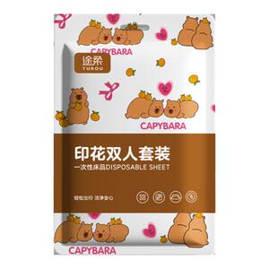 一次性床单被罩枕套床上四件套灭菌旅行出差酒店民宿灭菌加厚被套