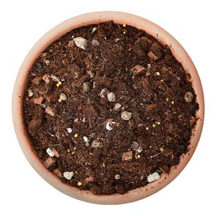 彩乐植球根土宿根营养土疏松透气朱顶红郁金香百合花酢浆草专用土