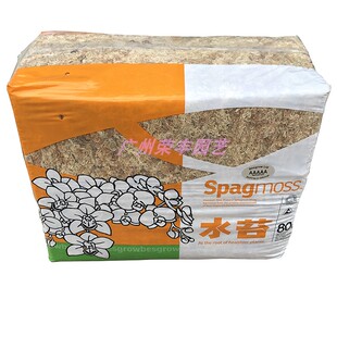 新西兰进口5A特级干水苔/苔藓/水草(食虫植物/兰花/微景观用)