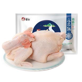 海南文昌鸡140天母鸡2斤散养走地鸡柴鸡跑步鸡椰子鸡白切鸡整鸡