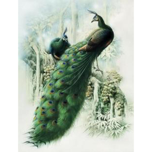 精准印花包邮新款客厅大画 正品DMC十字绣 混绣世界名画孔雀