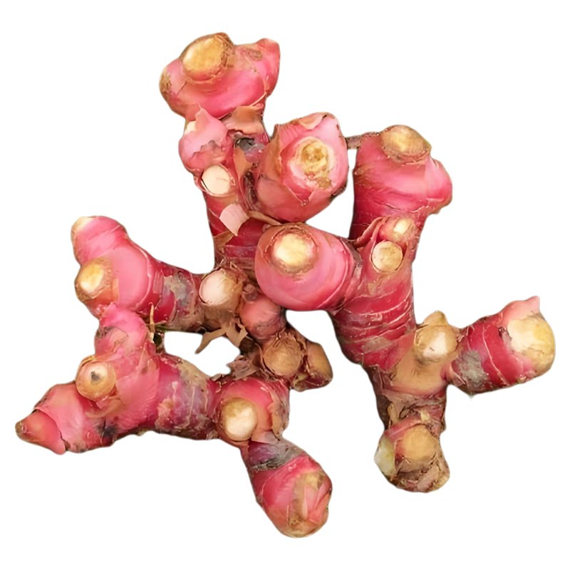潮汕南姜调味品去腥提鲜甘草水果