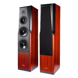 Winner/天逸 童笛八号 TD-8家庭影院音响套5.0装高保真落地木音箱