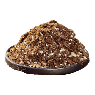 CPAI通用营养土多种进口基质混合