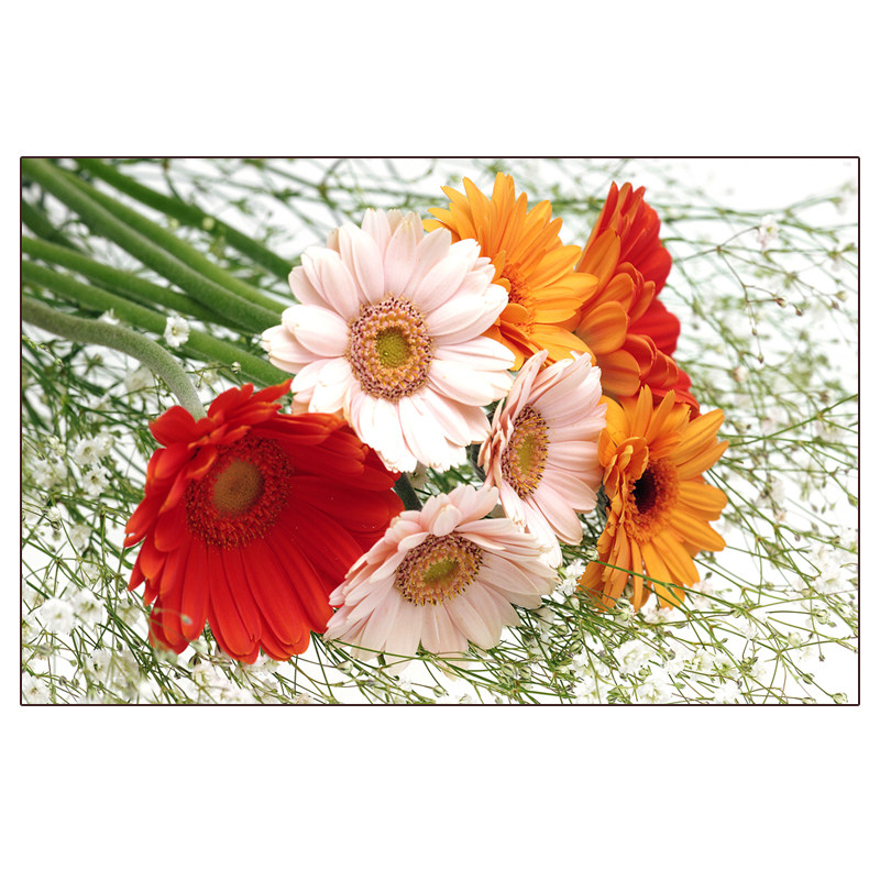 客厅卧室墙纸浪漫鲜花壁画自粘