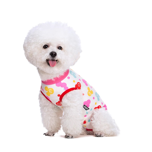 狗狗春夏薄款护肚背心防着凉宠物包肚泰迪比熊母狗手术绝育断奶服