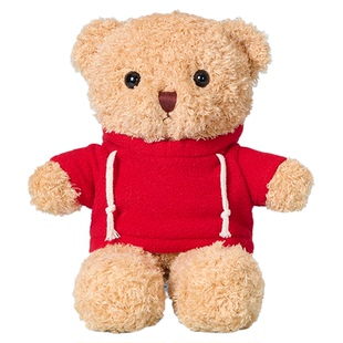 定制小熊穿衣泰迪熊毛绒玩具公仔玩偶布娃娃公司活动毕业礼品logo