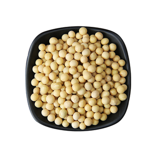 拒马河畔5斤东北笨黄豆大黄豆非转基因豆浆原料营养早餐1斤熟黄豆