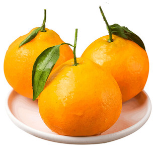 特级现摘四川爆浆春见耙耙柑当季新鲜水果整箱10斤超甜橘子粑粑柑