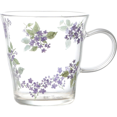 玻璃水杯高硼硅耐高温高颜值