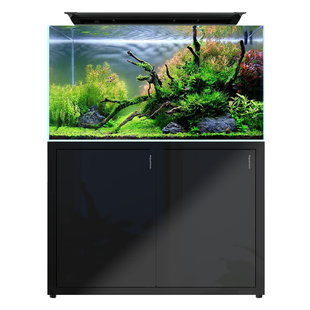 鱼缸背滤缸小型鱼缸客厅超白生态海缸水草缸兰寿一体缸30/40/50