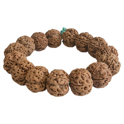 盘玩尼泊尔大金刚菩提树王梅花桩