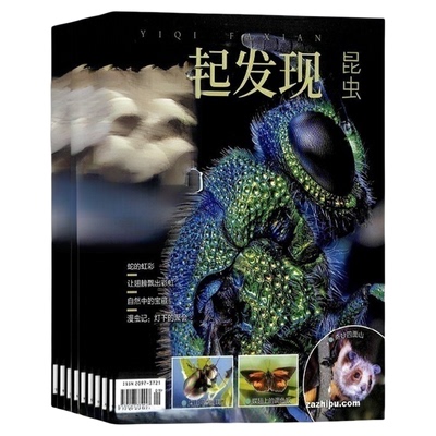 一起发现昆虫杂志 2026年1月起订阅 全年共12期 8-16岁青少儿少年阅读 中小学生课外科普百科  杂志铺