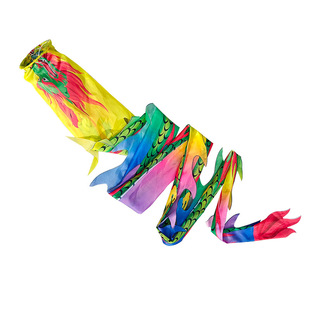 儿童舞龙单人杆子舞彩绸空竹龙甩彩带学校学生运动会表演节目道具