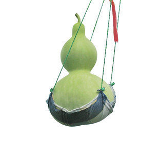 巨型葫芦种子 观赏文玩葫芦籽 莲花头疙瘩鸡蛋苹果葫芦种子均有售