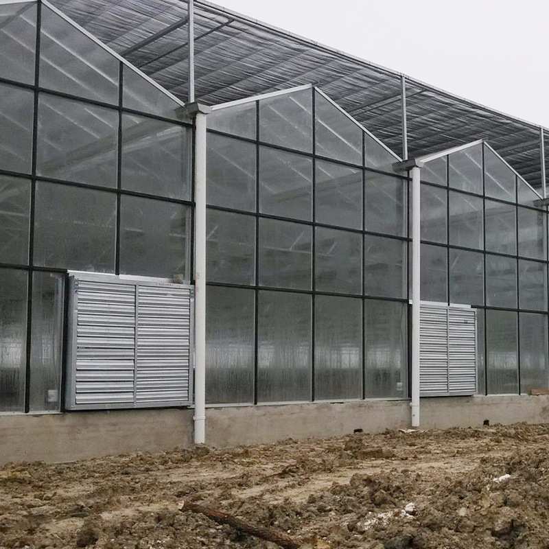 阳光板温室 pc纹络式日光温室 养殖种植大棚 阳光板智能温室暖棚