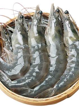 大虾鲜活超大青虾对虾2030盐冻虾