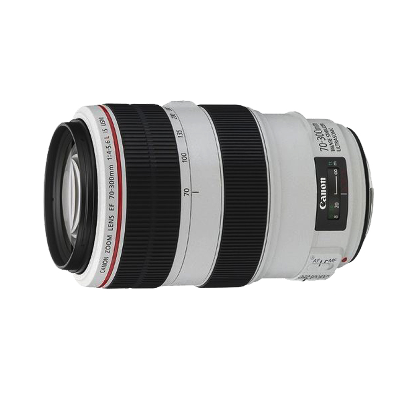 佳能 EF 70-300mm f4-5.6L IS USM胖白长焦红圈防抖镜头远摄月