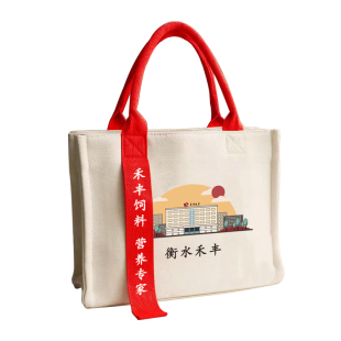 加急帆布包定制logo飘带高端包包加厚帆布袋印图案企业学校订做袋
