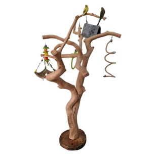 鹦鹉站架 鸟架性价高树枝站杆 落地游戏架 凯克和尚鹦鹉训鸟架