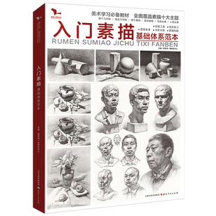 入门素描基础体系范本 我有我一套单个组合几何体素描静物石膏像人物头像临摹范本画册高考美术联考美院绘画教材综合素描书