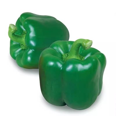 甜椒种子四季高产抗病