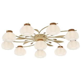 雷士照明奶油风全光谱护眼餐厅吸顶灯吊灯吧台卧室书房原木风灯具