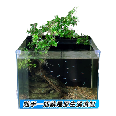 水杨梅植物鱼缸造景老桩摆件绿植