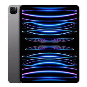 Apple/苹果11英寸iPadPro2022款 (第四代)2021/2020学生平板电脑