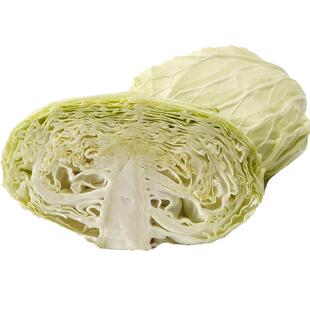 现砍重庆莲花白包菜新鲜当季农家卷心扁包菜圆白菜绿甘蓝手撕蔬菜