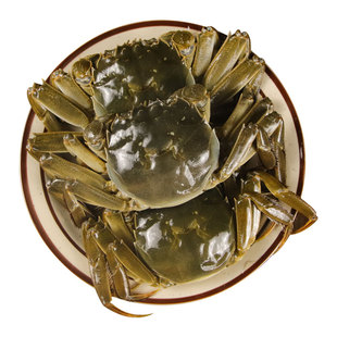 花雕醉蟹4只全母开盖即食醉大闸蟹河蟹宁波生腌呛蟹膏蟹花雕蟹