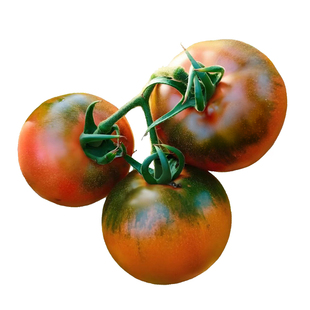 山东威海特产盐碱地草莓铁皮柿子西红柿自然熟番茄新鲜应季水果