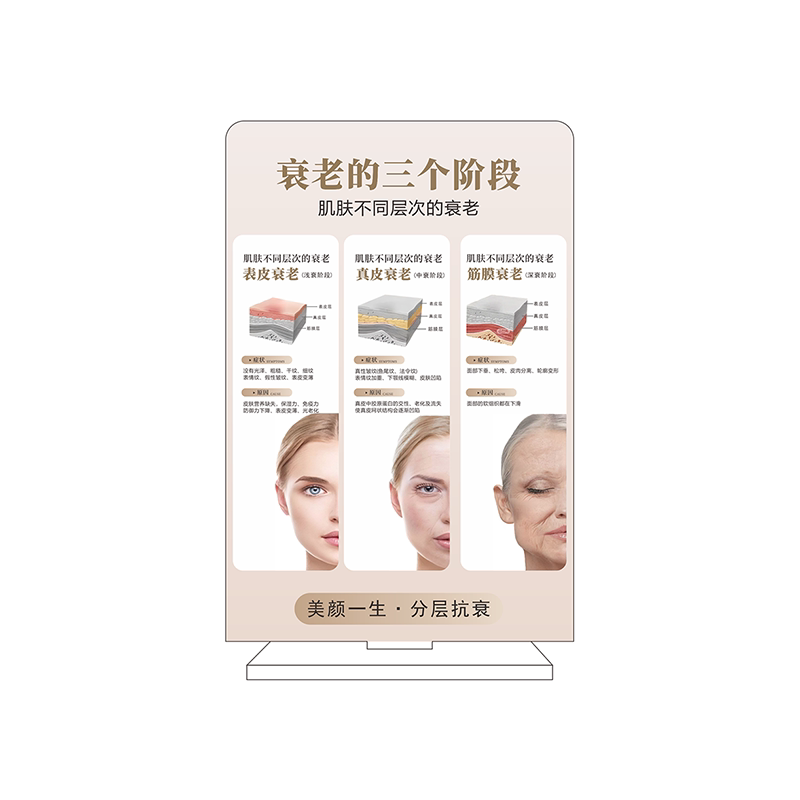 【可定制】皮肤管理美容院摆件