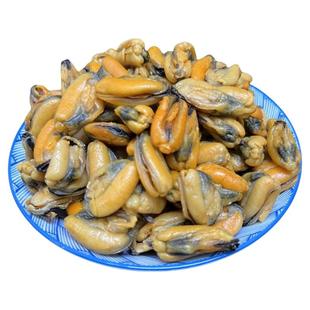 100头大淡菜仔干 无沙淡菜海虹干货 海鲜贻贝干 海虹肉干青口贝干
