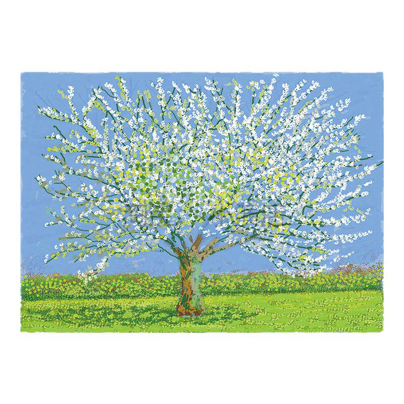 大卫霍克尼David Hockney 油画 打印画芯客厅书房画 喷绘画布