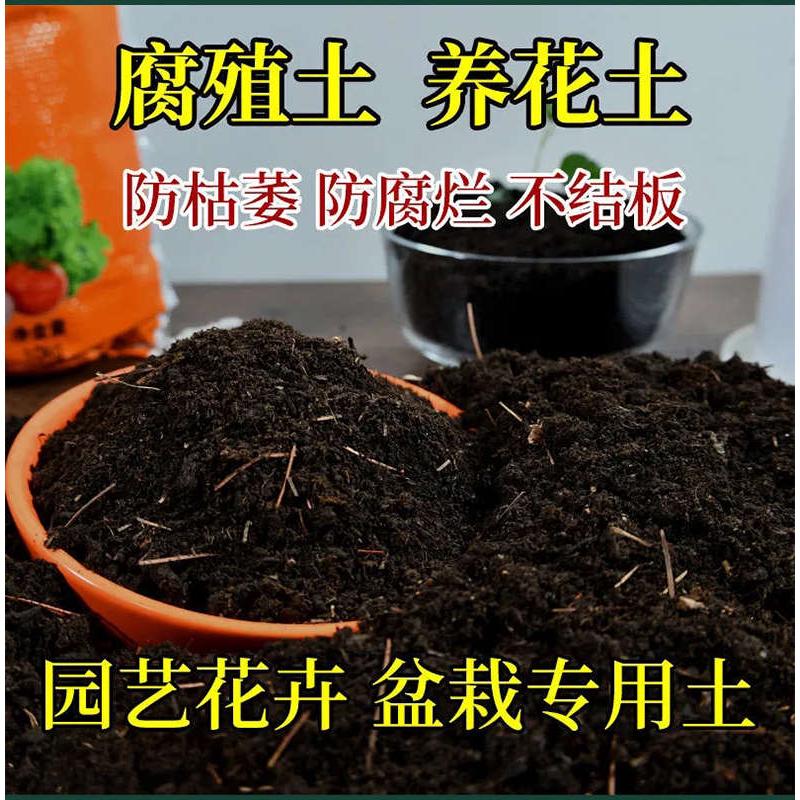思威博营养土种菜养花土壤椰砖种植土种花泥土家用泥炭土蔬菜肥料