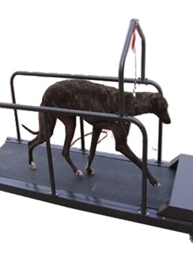 家用宠物训练狗狗跑步机犬用电动跑步机格力格慧惠比特遥控跑步机