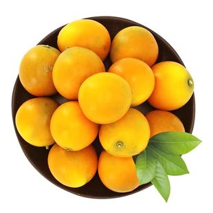 脆蜜金柑广西融安金桔第三代纯甜无籽多汁超甜皮薄果园现摘新鲜