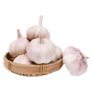 农家精选新干蒜特惠紫白皮大蒜干蒜蒜头精品