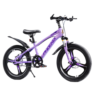 凤凰儿童自行车6到12岁女孩女童山地碟刹变速小学生单车中大童车